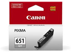 Canon CLI-651GY Grey Ink Cartridge, 330 Pages.