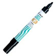 Pilot Super Colour Permanent Marker Pen Fine Black (SCA-F-B)